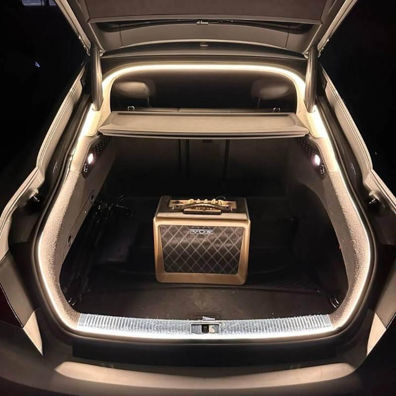 Throttle Tiger Trunk LED Kit - Trunk customization with LED lights