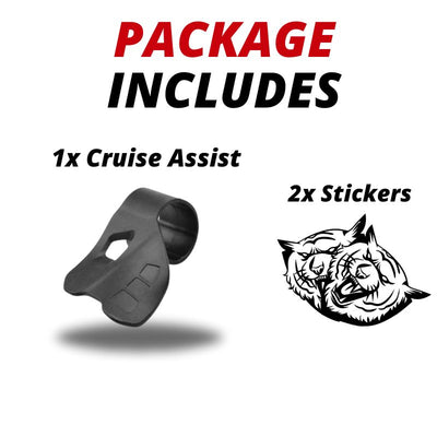 Throttle Cruise Assist