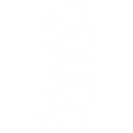 Core & Spine Support