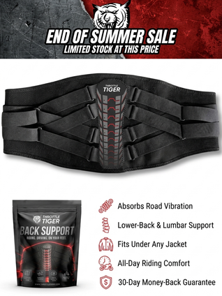 Rider's Back Support