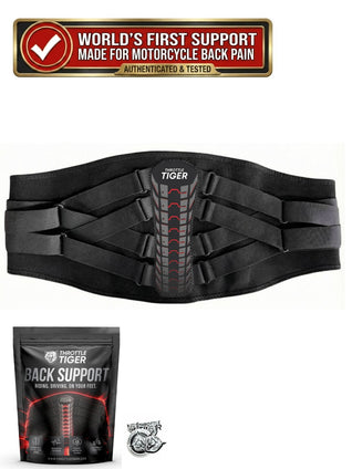 Rider's Back Support