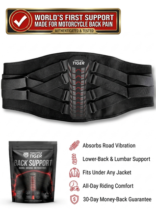 Rider's Back Support