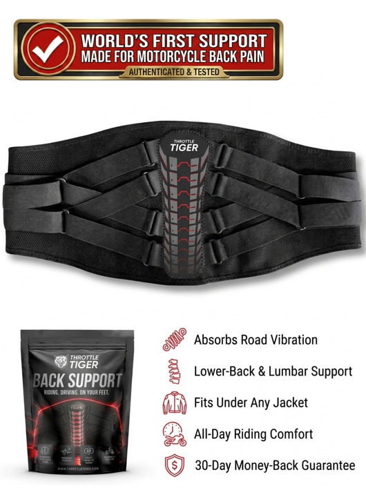 Rider's Back Support