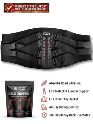 Rider's Back Support