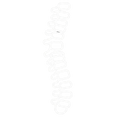 Core & Spine Support