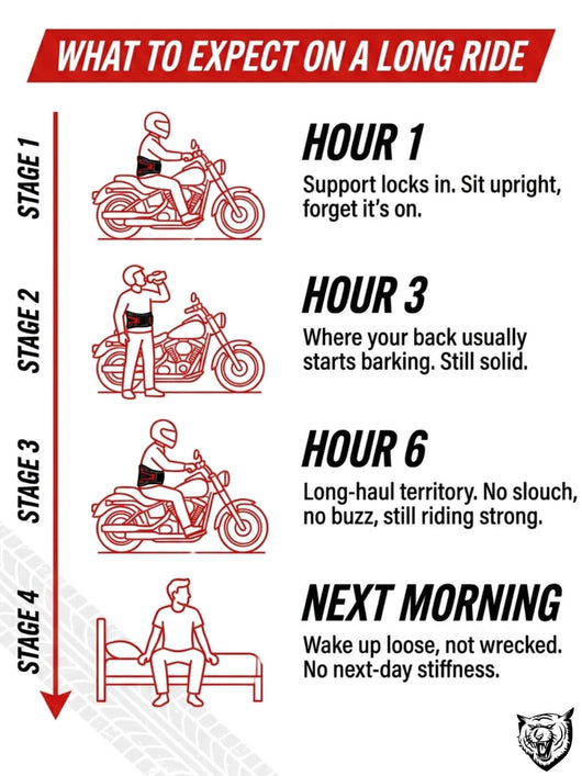 What to expect from the Throttle Tiger back support