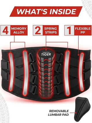 Rider's Back Support