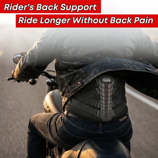 Rider's Back Support - Throttle Tiger