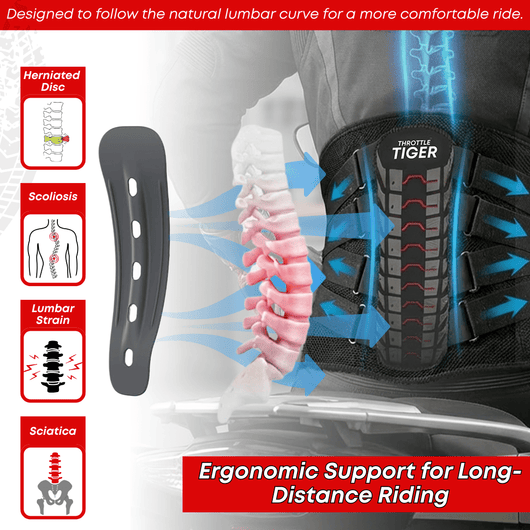 Rider's Back Support - Throttle Tiger
