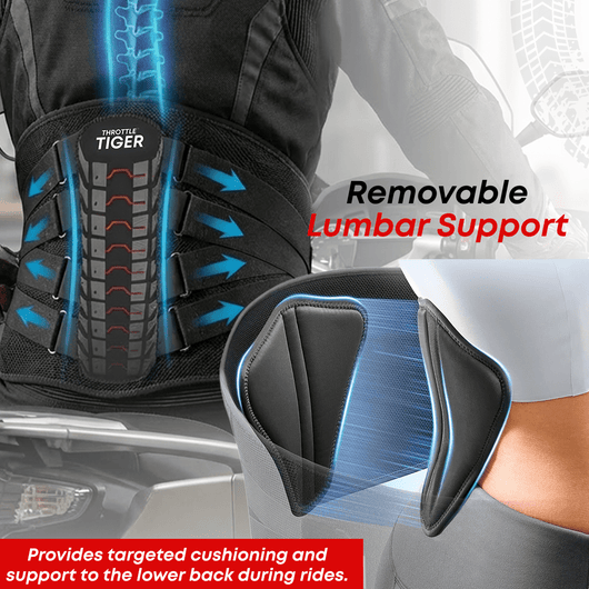 Rider's Back Support - Throttle Tiger