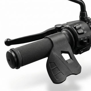 Throttle Control Cruise Assist