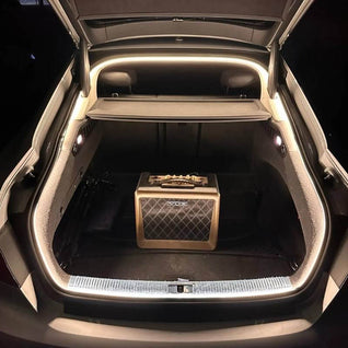 Throttle Tiger Trunk LED Kit